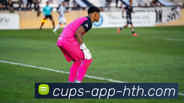 华体会APP 封面图